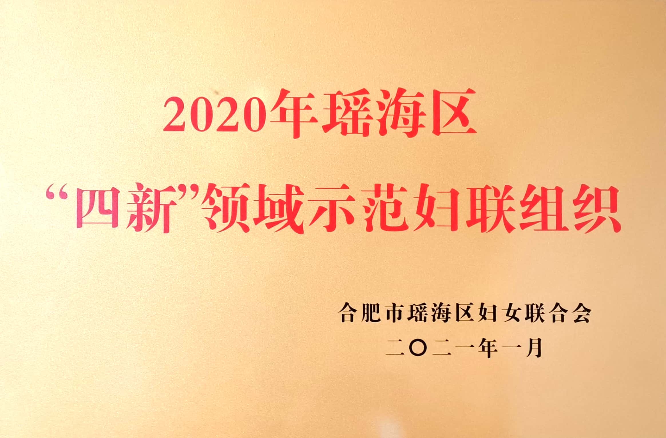 “四新”领域示范妇联组织