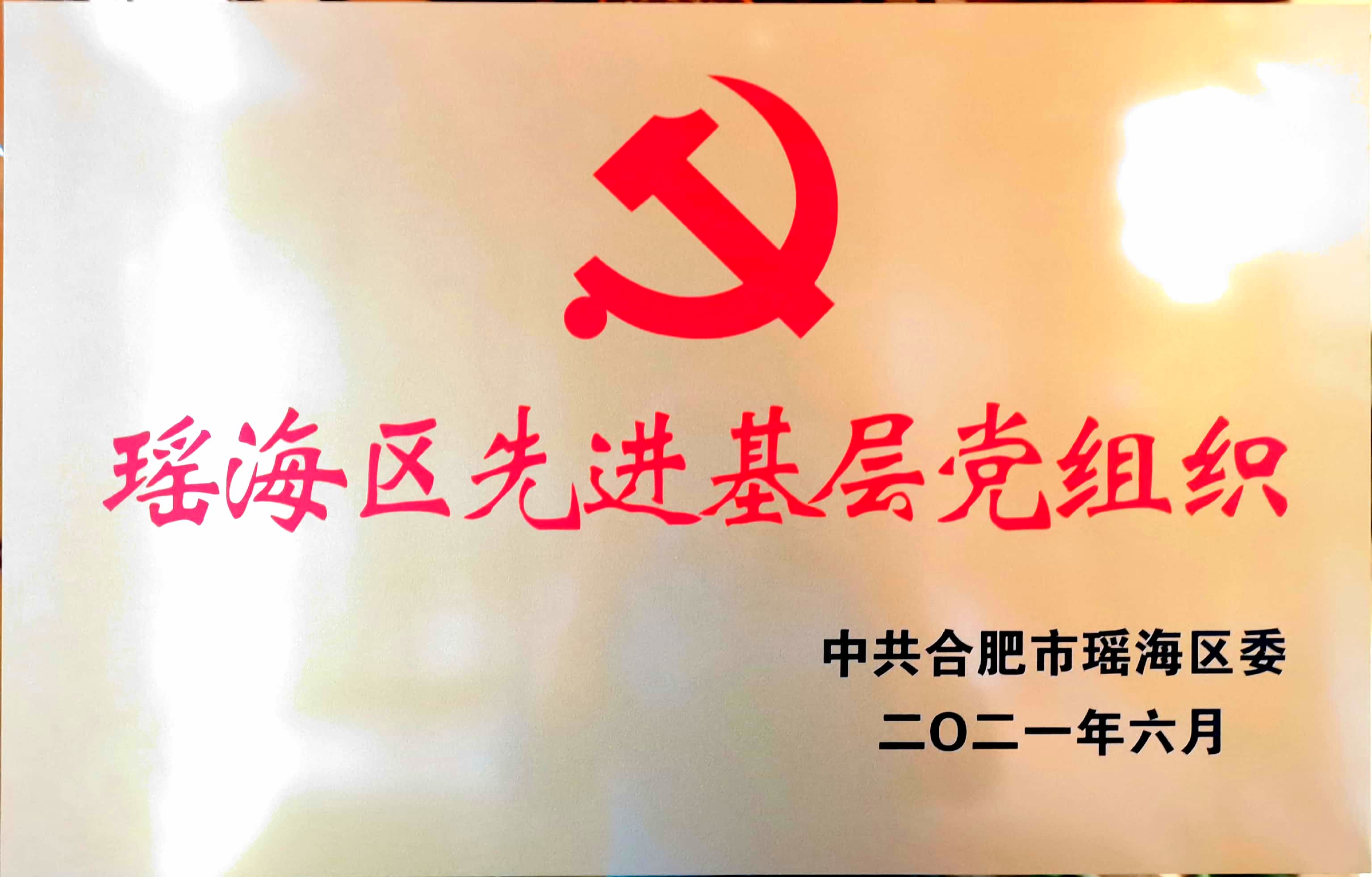 区先进党组织